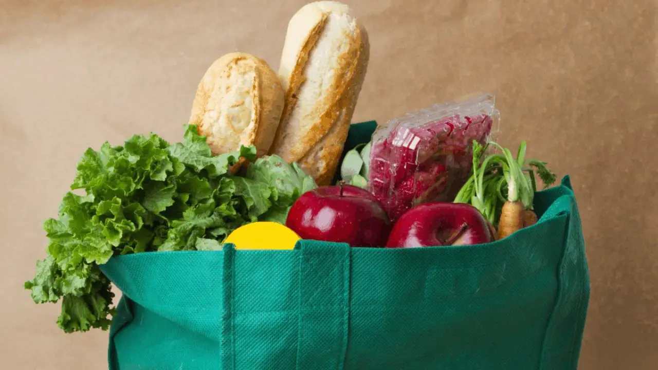 Best reusable 2025 grocery bags 2019