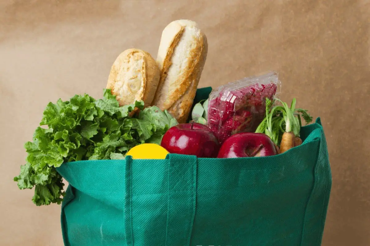 Best Reusable Grocery Bags 2019