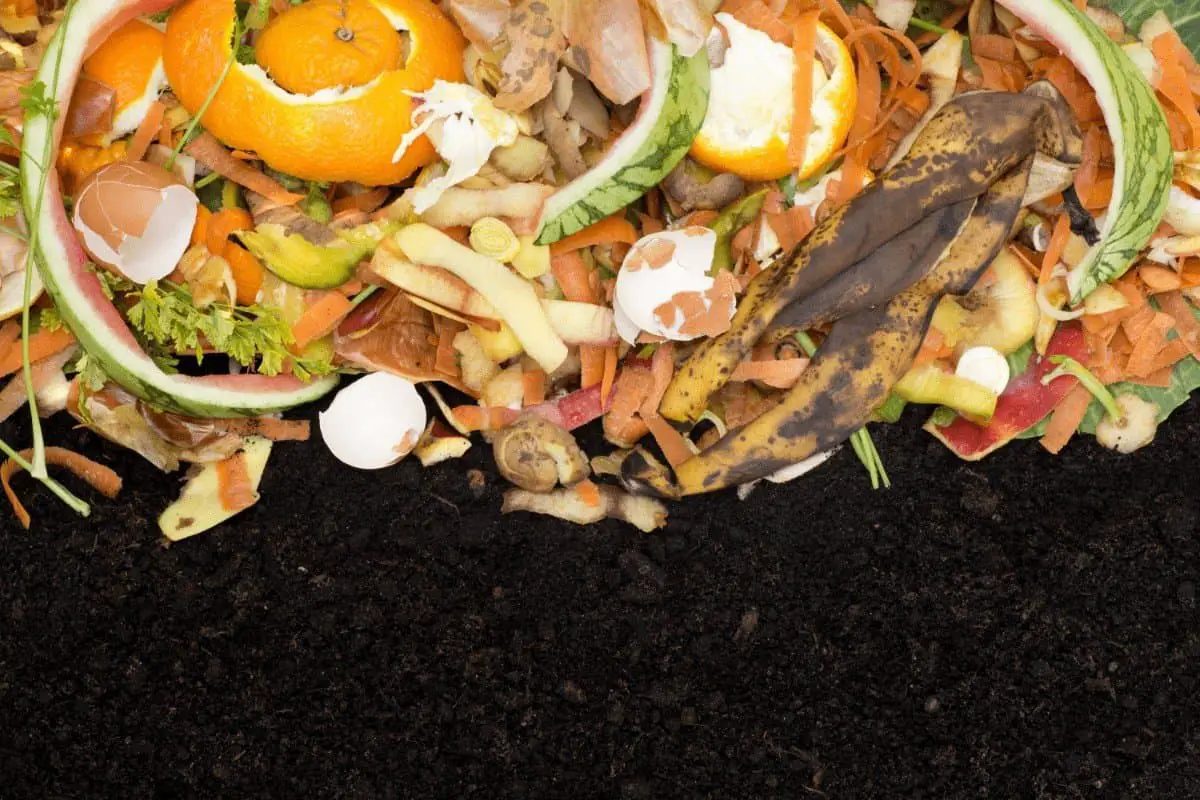 Composting guide, how to compost
