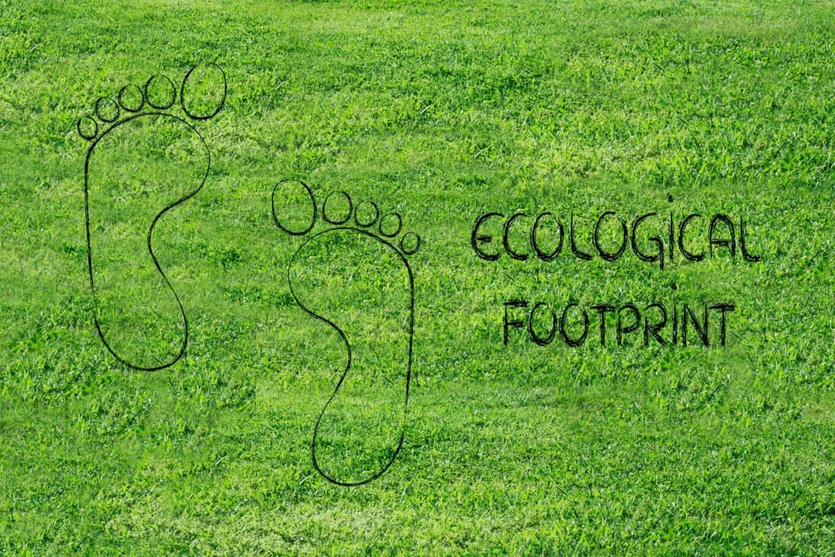 Tips on How to Reduce Ecological Footprint