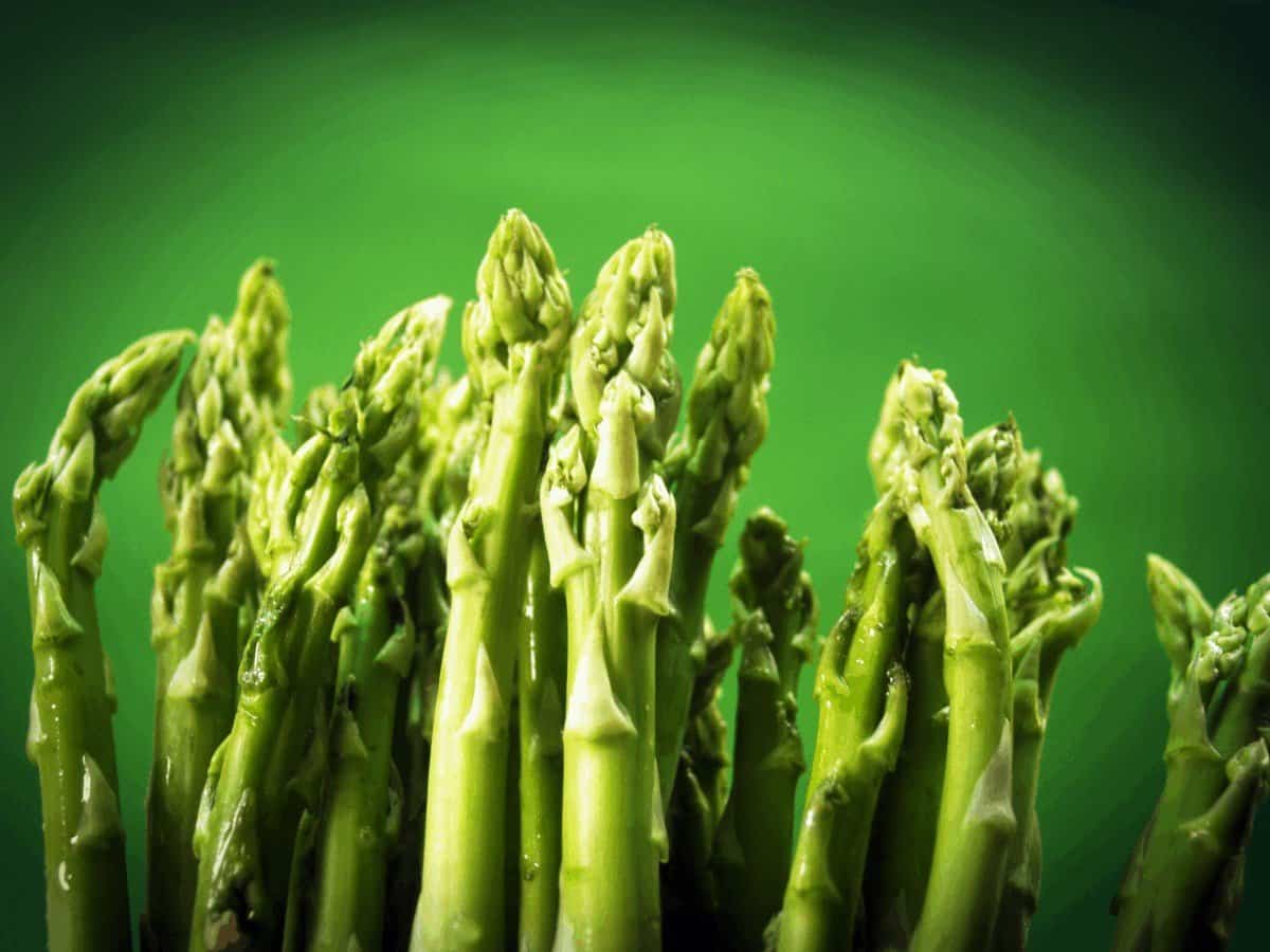 Transplanting Asparagus Tips on How to Transplant Asparagus
