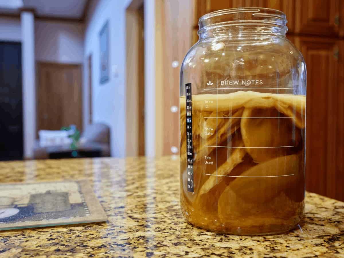 How to make a scoby with vinegar