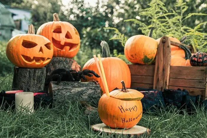 How to preserve a pumpkin after carving?