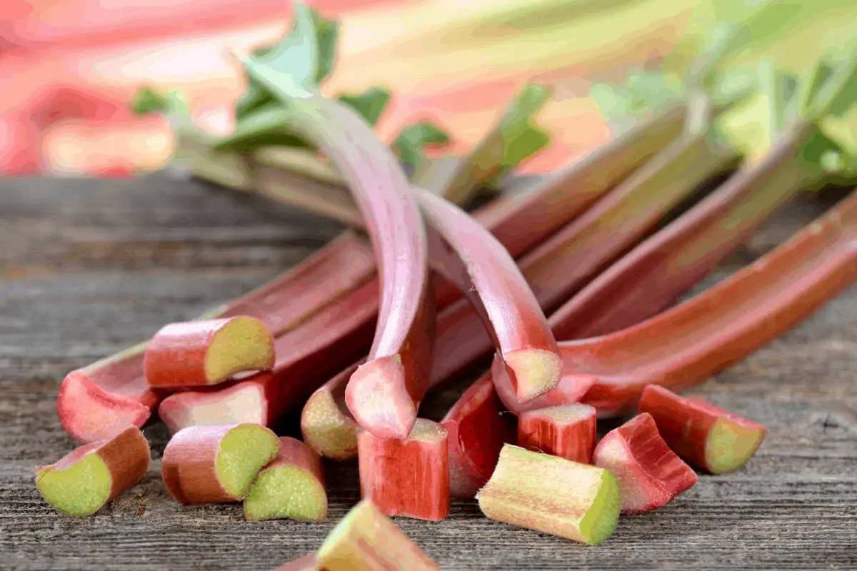 Other Plants That Look Like Rhubarb