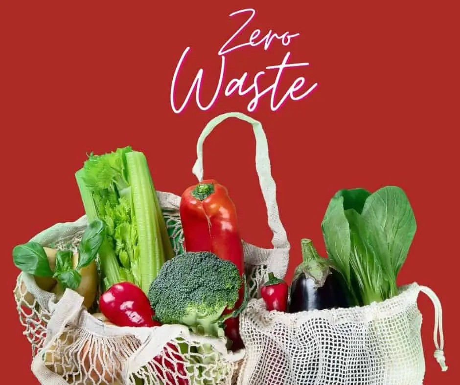What Is the Definition Zero Waste?