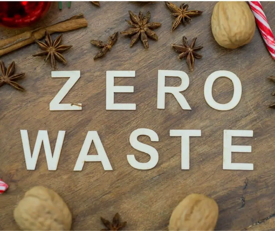 When Was Zero Waste Home Written?