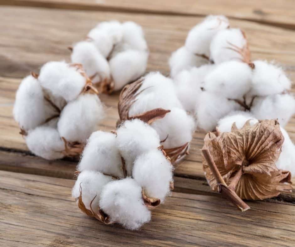 Why Is Organic Cotton Zero Waste?