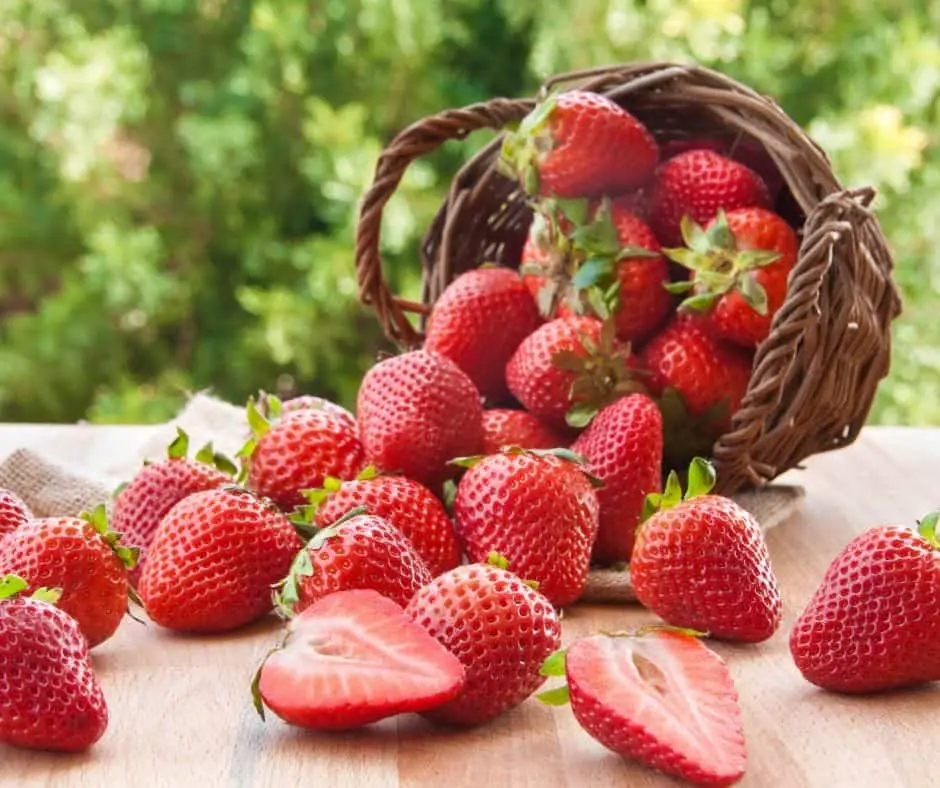 How to Get Zero Waste Strawberries?